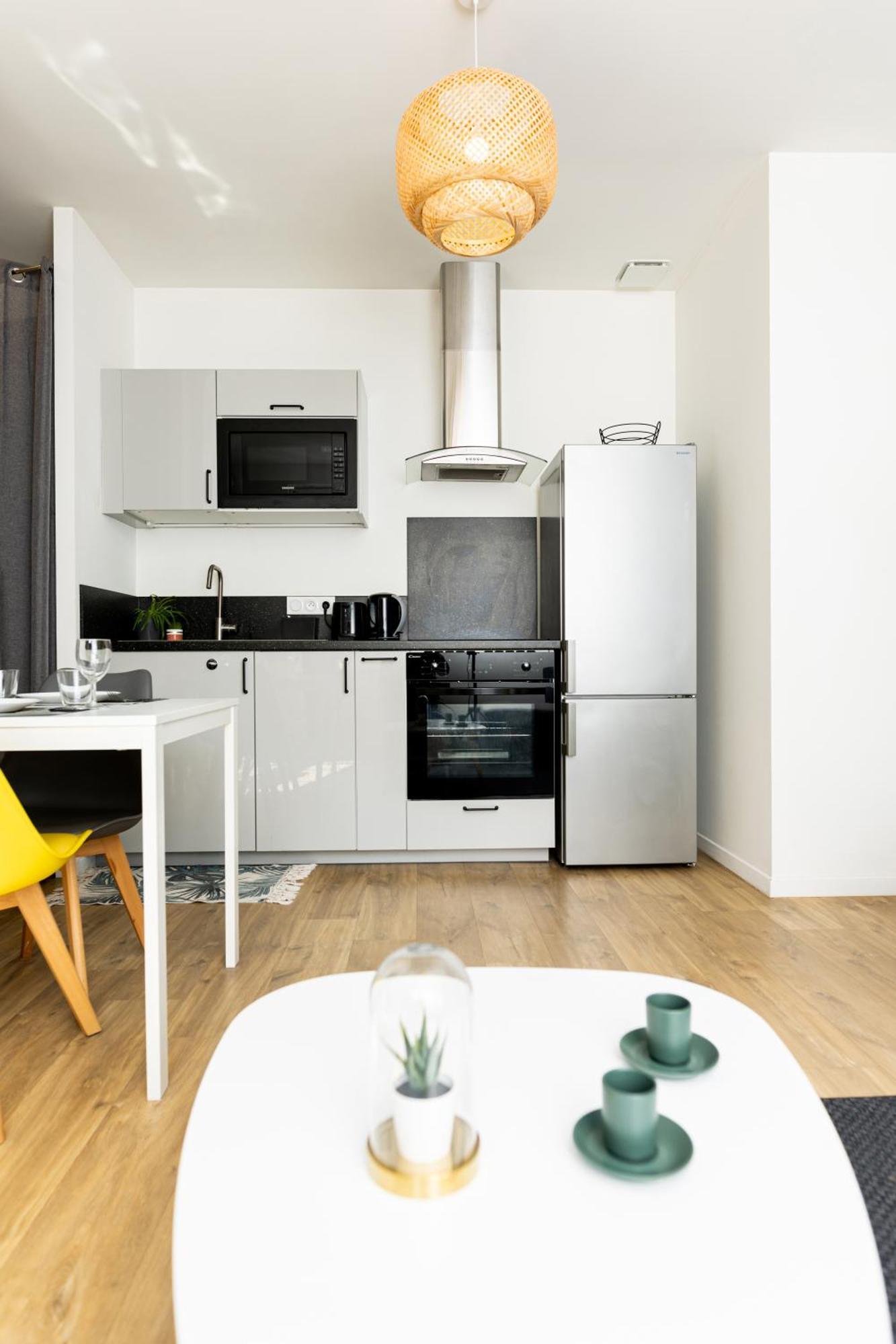 Le Amboisien - Centre Apartment *